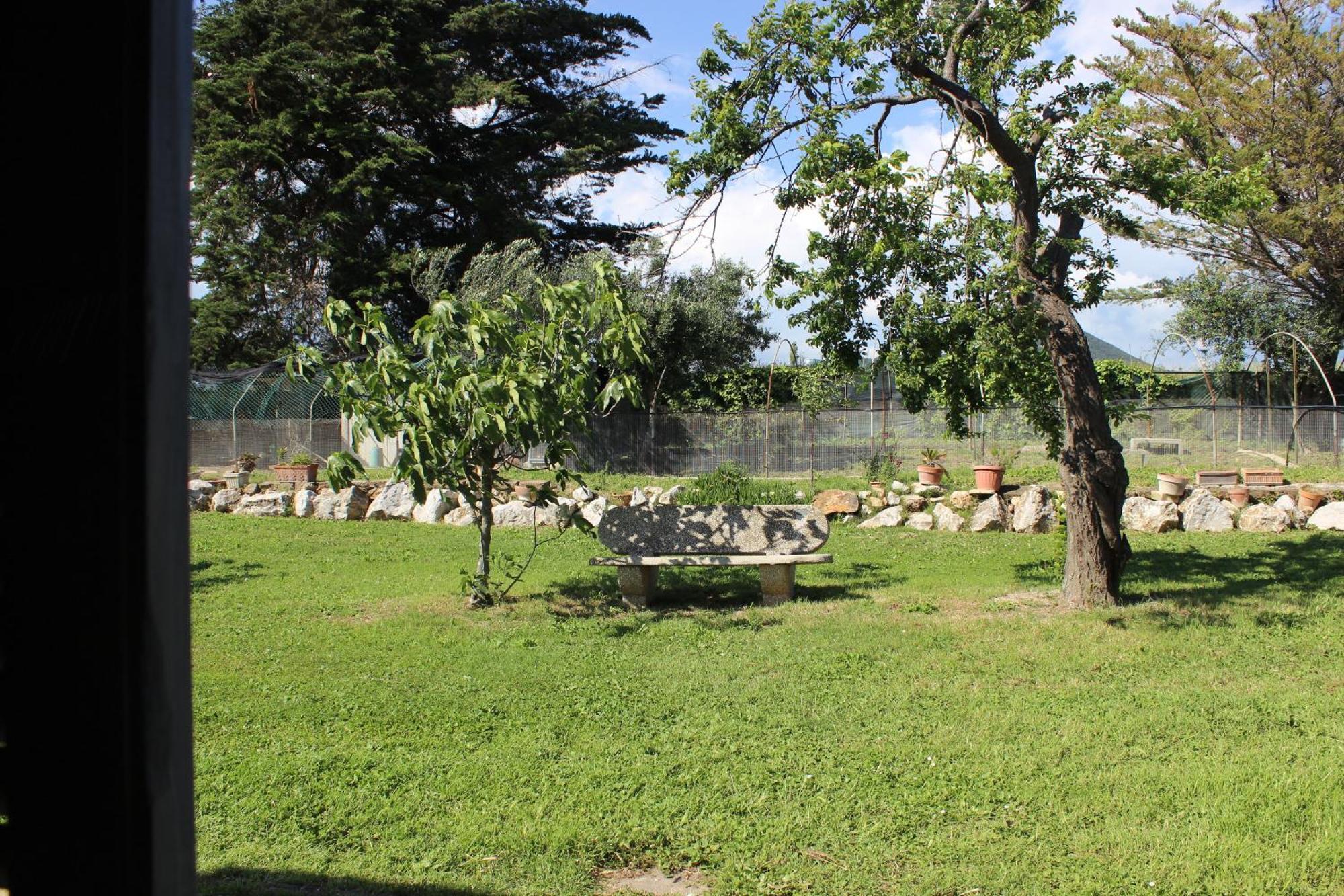 Guest House Villa Di Judighes Cerveteri Phòng bức ảnh