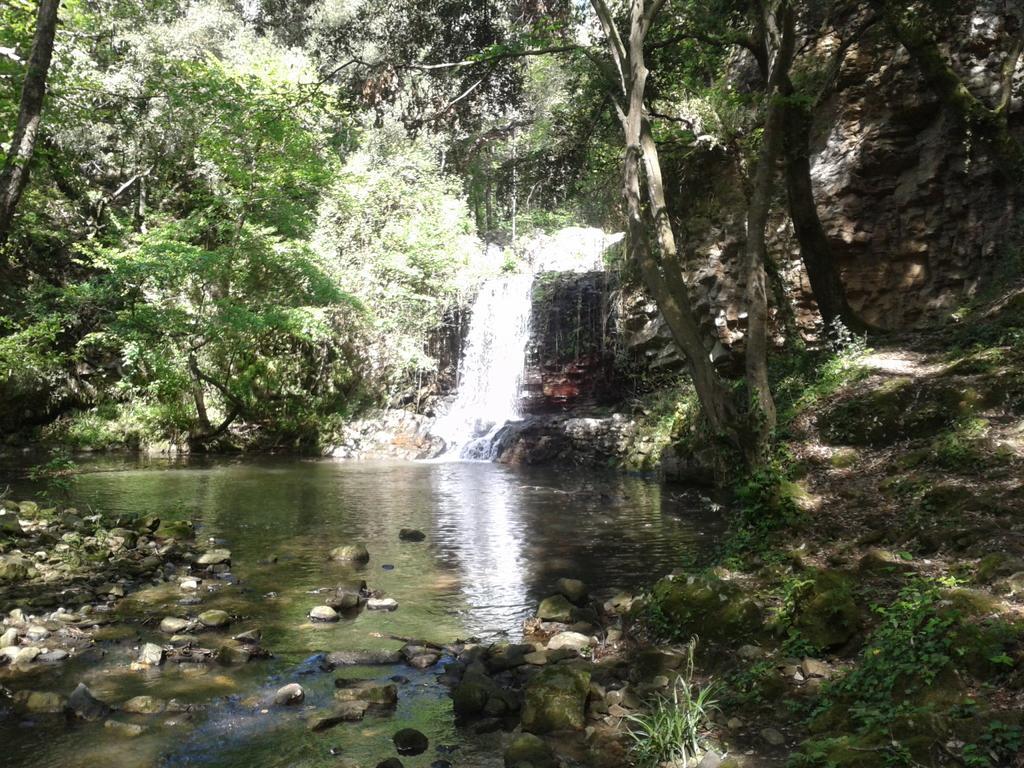 Guest House Villa Di Judighes Cerveteri Ngoại thất bức ảnh