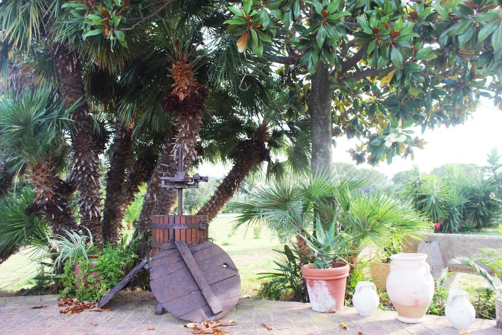 Guest House Villa Di Judighes Cerveteri Ngoại thất bức ảnh