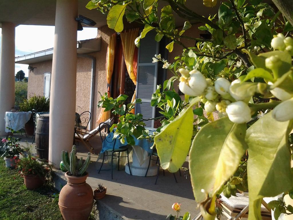 Guest House Villa Di Judighes Cerveteri Ngoại thất bức ảnh