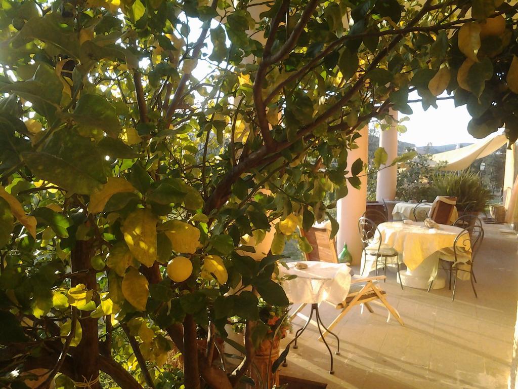 Guest House Villa Di Judighes Cerveteri Ngoại thất bức ảnh