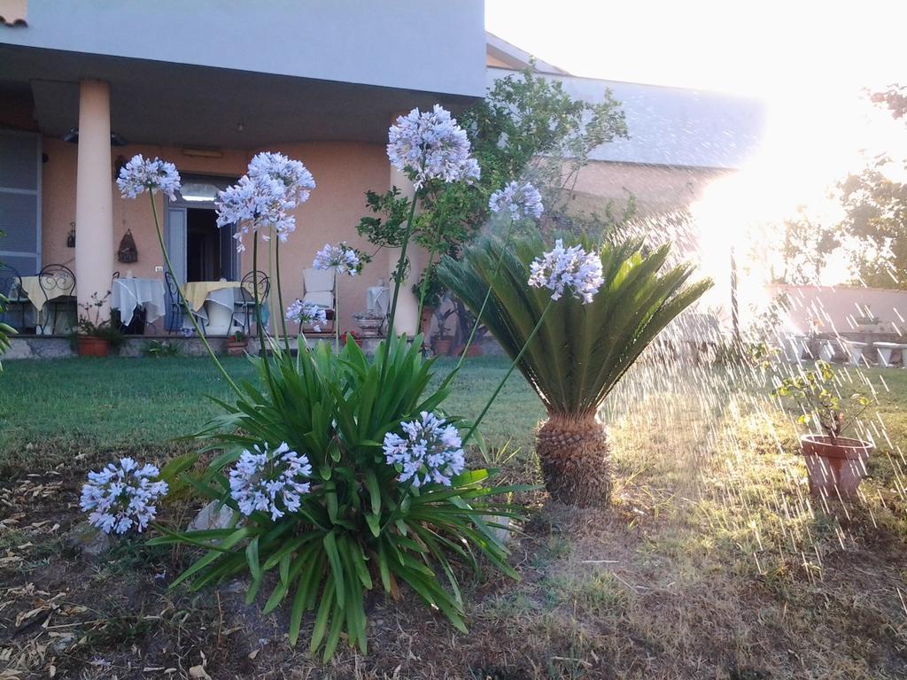 Guest House Villa Di Judighes Cerveteri Ngoại thất bức ảnh