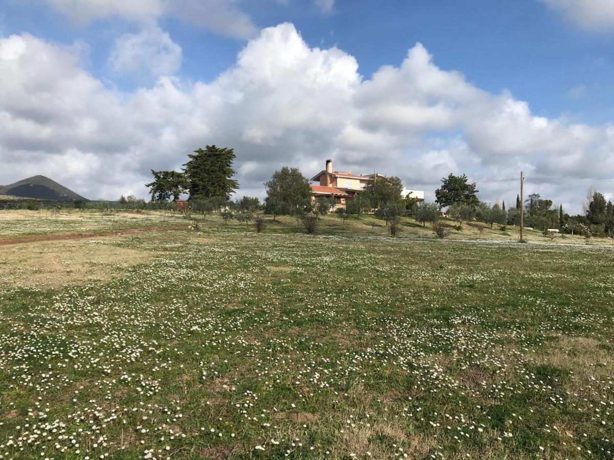 Guest House Villa Di Judighes Cerveteri Ngoại thất bức ảnh
